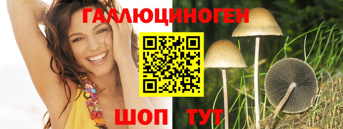Псилоцибиновые грибы мицелий Будённовск