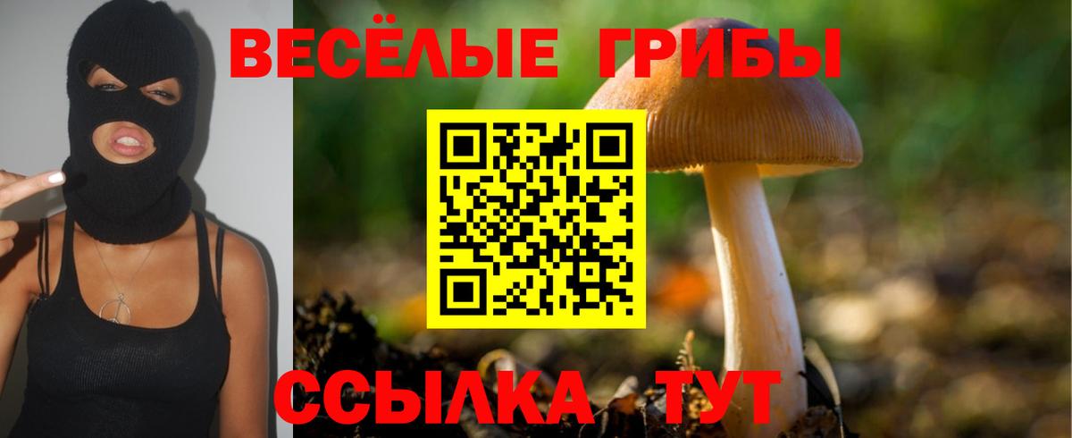 Будённовск  Псилоцибиновые грибы мицелий  сколько стоит  Вход с VPN 
