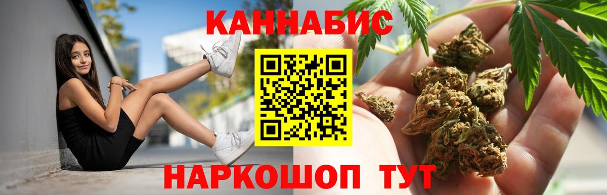 Бошки марихуана индика Будённовск